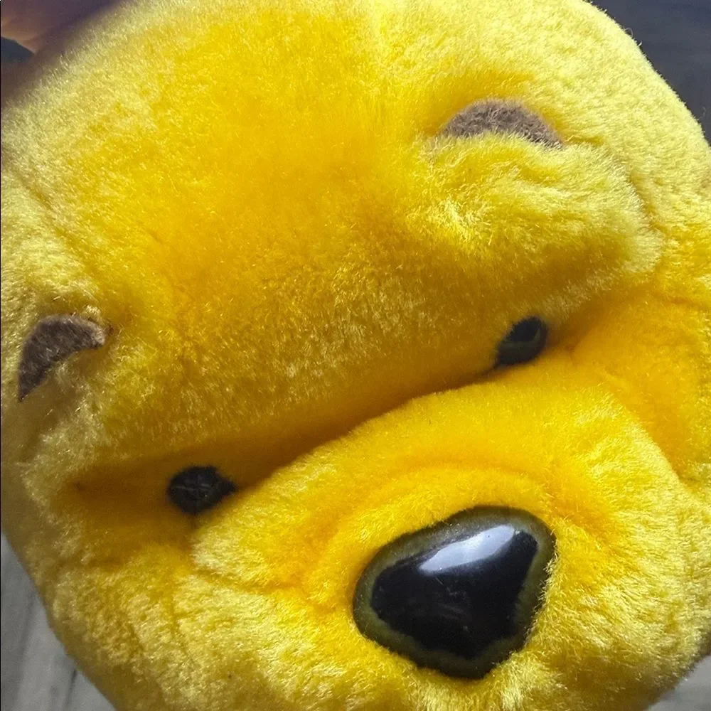 Disney Winnie the Pooh Bag with Hunny Pot attachment
